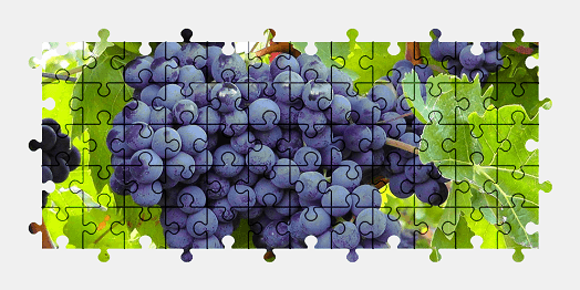 Jigsaw puzzle online grapes,fruit,food,colorful,plant