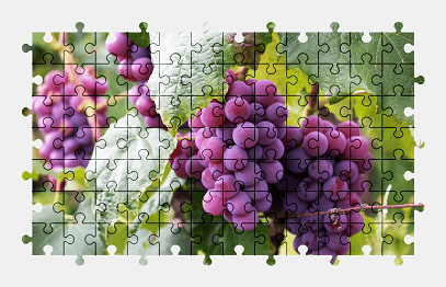 Jigsaw puzzle online grapes,fruit,food,nature,colorful
