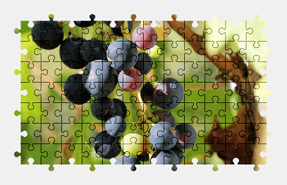 Jigsaw puzzle online grapes,fruit,plant