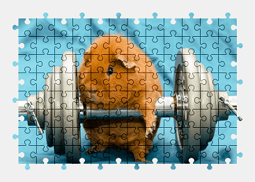 Jigsaw puzzle online guinea-pig,animal,colorful