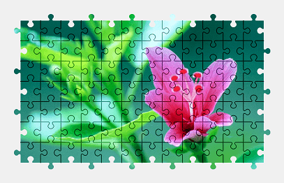 Jigsaw puzzle online pink,hibiscus,flower,nature,colorful