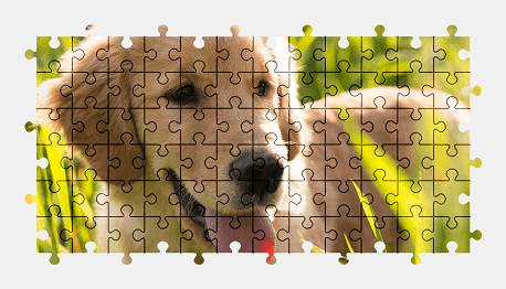 Jigsaw puzzle online happy,puppy,dog,animal,nature,colorful