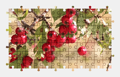 Jigsaw puzzle online tree,fruit