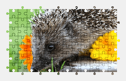Jigsaw puzzle online hedgehog,garden,animal,colorful,nature,flower