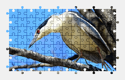 Jigsaw puzzle online heron,bird,animal,branch,nature