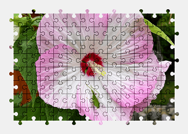 Jigsaw puzzle online hibiscus,flower,nature