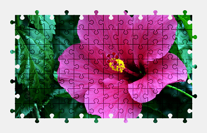 Jigsaw puzzle online hibiscus,flower,colorful