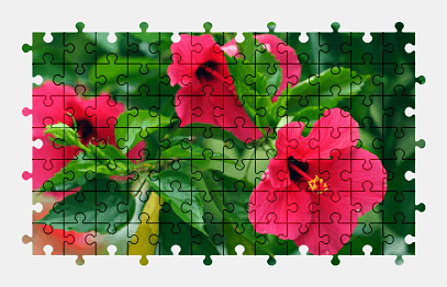 Jigsaw puzzle online hibiscus,flower,nature,colorful
