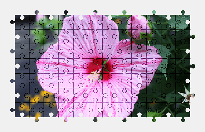 Jigsaw puzzle online hibiscus,flower,colorful,nature
