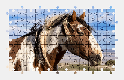 Jigsaw puzzle online horse,animal,colorful