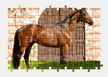 Jigsaw puzzle online horse,animal,colorful