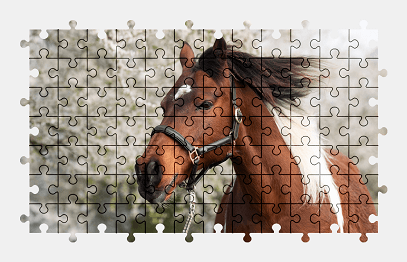 Jigsaw puzzle online horse,animal,colorful