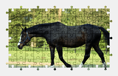 Jigsaw puzzle online horse,animal,nature