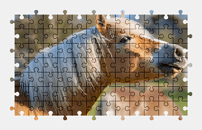 Jigsaw puzzle online horse,animal,colorful