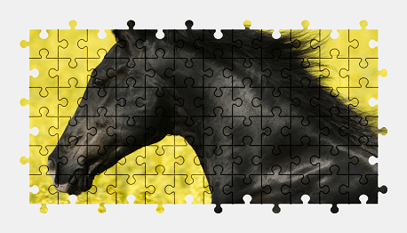 Jigsaw puzzle online horse,animal,colorful