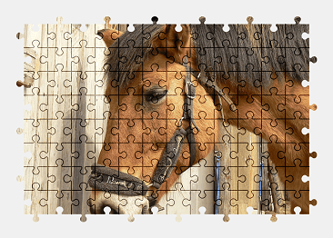 Jigsaw puzzle online horse,animal,farm