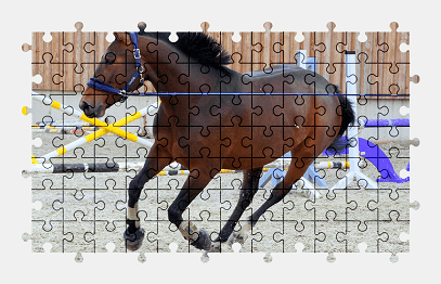 Jigsaw puzzle online horse,animal,colorful