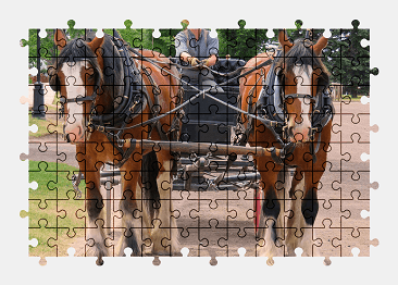 Jigsaw puzzle online horse,animal,vehicle,colorful