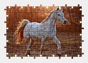 Jigsaw puzzle online white,horse,animal,nature