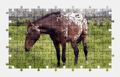 Jigsaw puzzle online horse,grass,nature,animal,colorful
