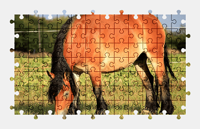 Jigsaw puzzle online horse,animal,pasture,colorful