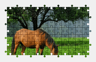 Jigsaw puzzle online horse,animal,green,grass,nature,tree,colorful