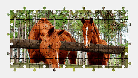 Jigsaw puzzle online horse,animal,nature