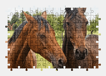 Jigsaw puzzle online horse,animal,nature