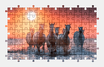 Jigsaw puzzle online horse,animal,colorful,sun,water