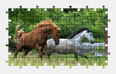Jigsaw puzzle online horse,animal,colorful