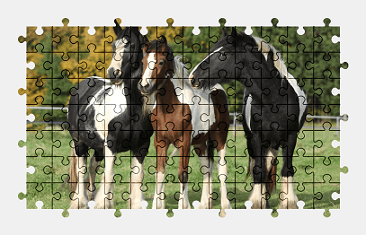 Jigsaw puzzle online horse,animal,nature