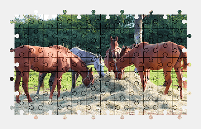 Jigsaw puzzle online horse,animal,nature,colorful
