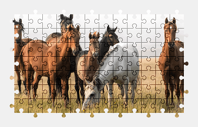 Jigsaw puzzle online horse,animal,nature,colorful