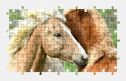 Jigsaw puzzle online horse,animal,colorful