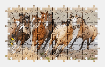 Jigsaw puzzle online speed,horse,animal