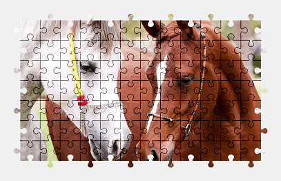 Jigsaw puzzle online horse,animal,colorful