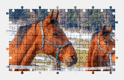 Jigsaw puzzle online horse,animal,colorful