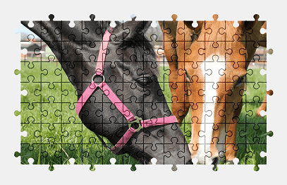 Jigsaw puzzle online horse,animal,nature,colorful