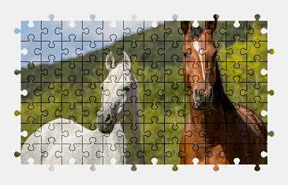 Jigsaw puzzle online horse,animal