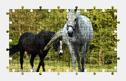 Jigsaw puzzle online horse,animal