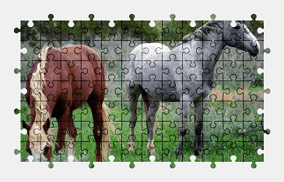 Jigsaw puzzle online horse,animal,nature,colorful