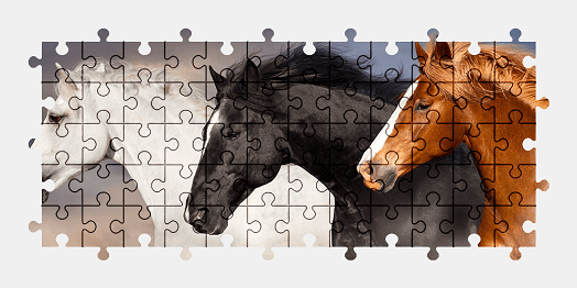 Jigsaw puzzle online horse,animal,colorful