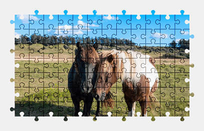 Jigsaw puzzle online horse,animal,nature,colorful