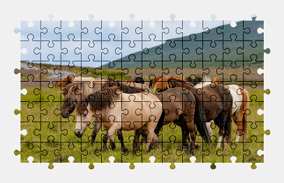 Jigsaw puzzle online horse,animal,nature,colorful