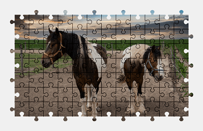 Jigsaw puzzle online horse,animal,nature