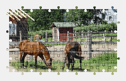 Jigsaw puzzle online horse,animal,finland