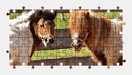 Jigsaw puzzle online pony,horse,cute,animal,funny,nature,colorful