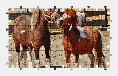 Jigsaw puzzle online horse,animal,pony,nature,cute