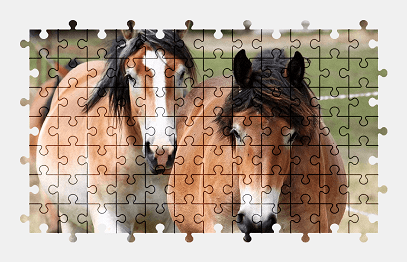 Jigsaw puzzle online horse,animal,nature