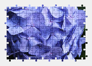 Jigsaw puzzle online blue,hydrangea,flower,blossom,bloom,nature,colorful